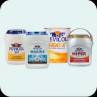 Fevicol & Adhesives